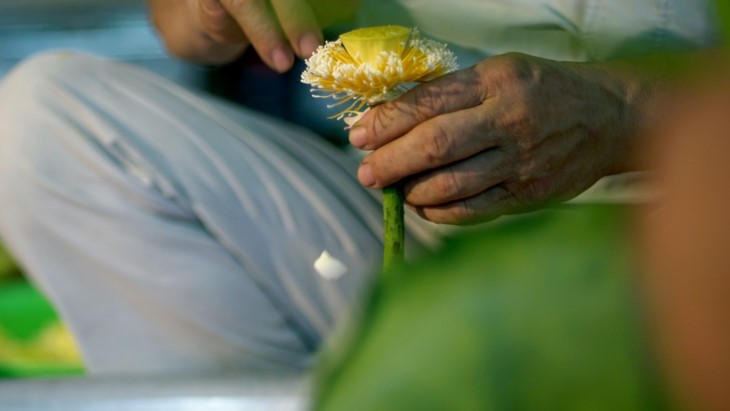 Aroma von Lotusblüten im Tee - ảnh 14