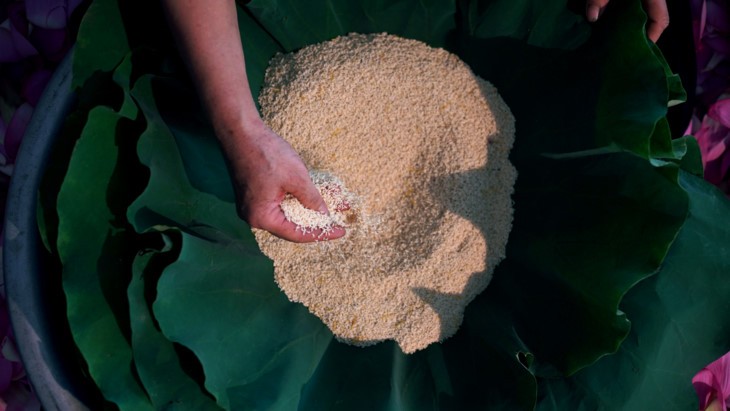 Aroma von Lotusblüten im Tee - ảnh 23