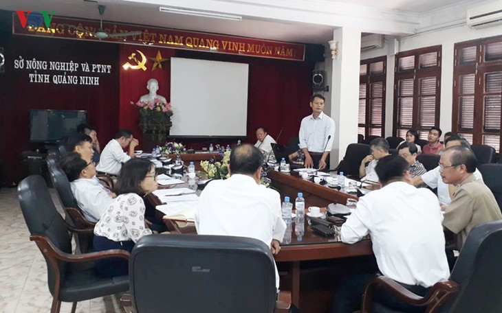 Maßnahmen zur Bewahrung der wertvollen Schweinerasse Mong Cai - ảnh 1