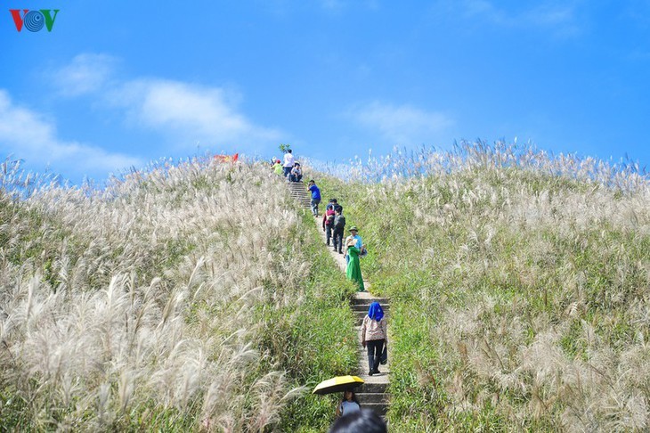 Quang Ninh ist eine Attraktion für authentischen Tourismus - ảnh 3