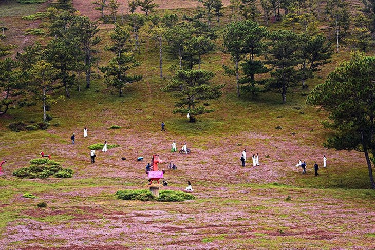 Wiederherstellung der Hochzeit der K’Ho im Fest Co Hong 2019 - ảnh 1