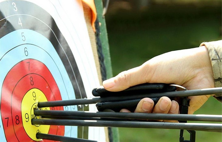 Nguyen Van Day gewinnt Silber-Medaille im Bogenschießen - ảnh 1