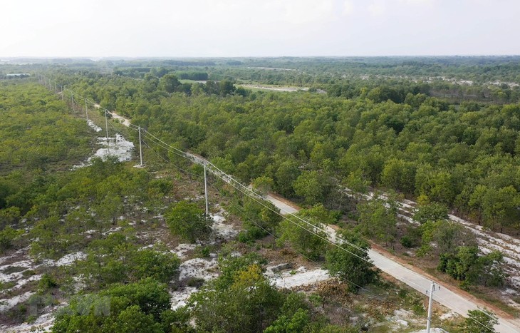 Vietnam setzt die internationalen Vereinbarungen zur Anpassung an Klimawandel effizient um - ảnh 1