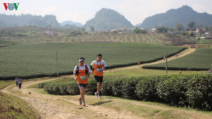 Mehr als 3.000 Läufer nehmen am Marathon teil - ảnh 1