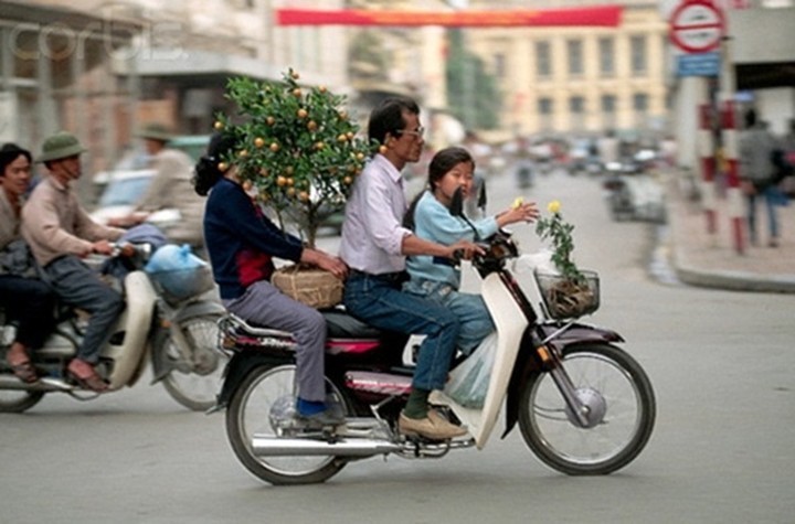 Tetfest in früheren Bildern - ảnh 10