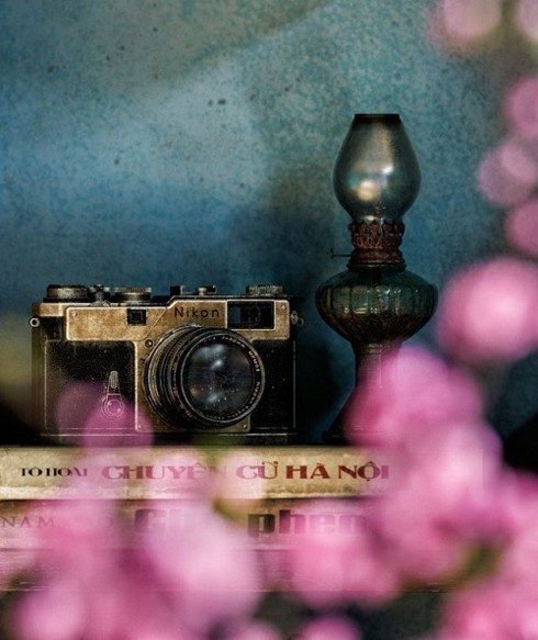 Tetfest in früheren Bildern - ảnh 12