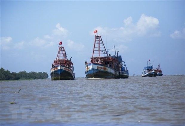 Vietnamesischer Fischerverband protestiert gegen Fischfangverbot durch China - ảnh 1