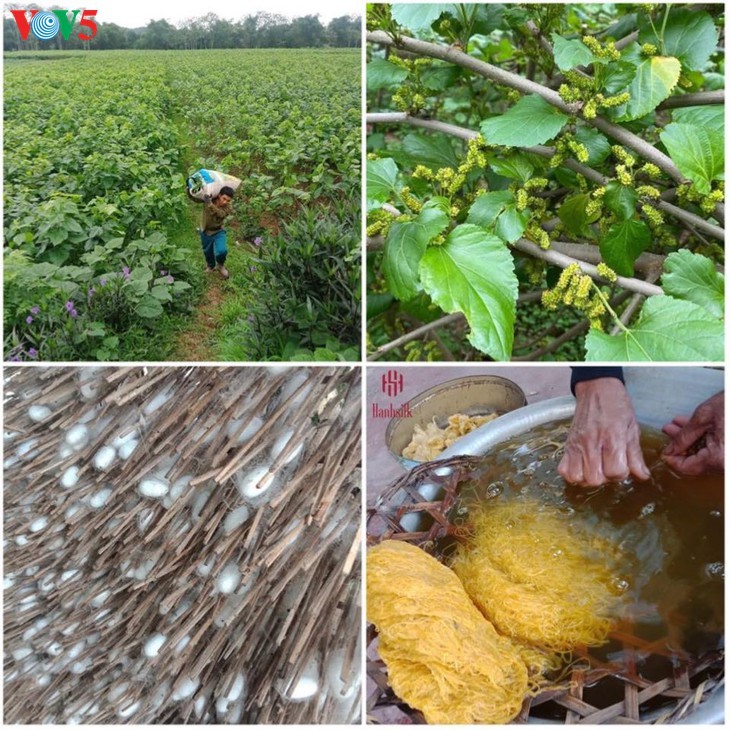 Kinder informieren sich über traditionelle Dui-Seiden Vietnams - ảnh 2