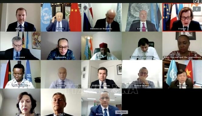 Vietnam ruft auf Sitzung des Weltsicherheitsrats zur Solidarität gegen Terror in Afrika auf - ảnh 1