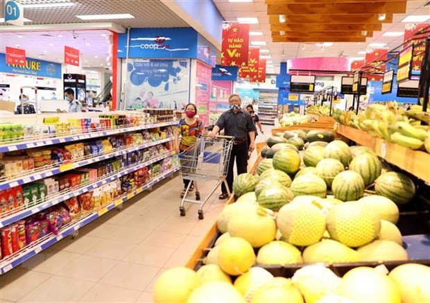 Deutsche Medien: COVID-19-Pandemie in Vietnam unter Kontrolle - ảnh 1