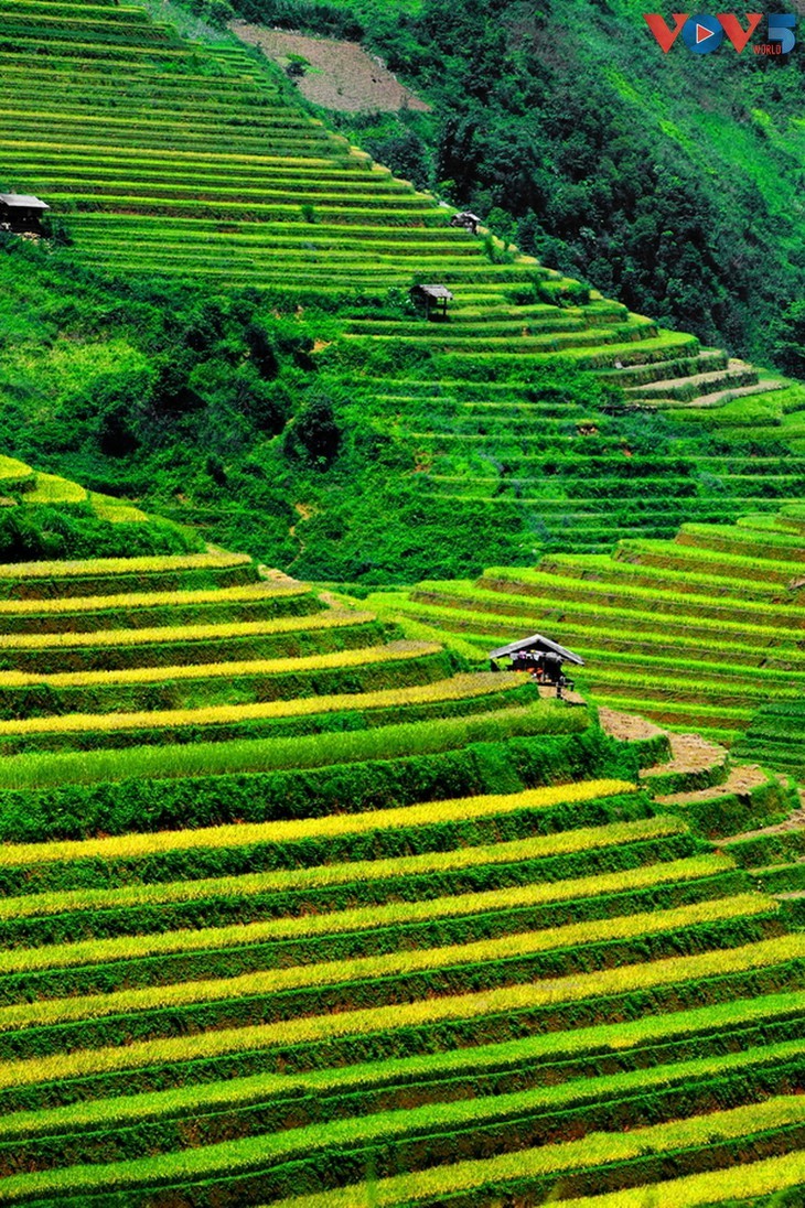 Schönheit von Hoi An und Sapa, zwei Attraktionen in Bildern - ảnh 13