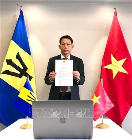 Vietnam und Barbados haben potentielle Zusammenarbeit - ảnh 1