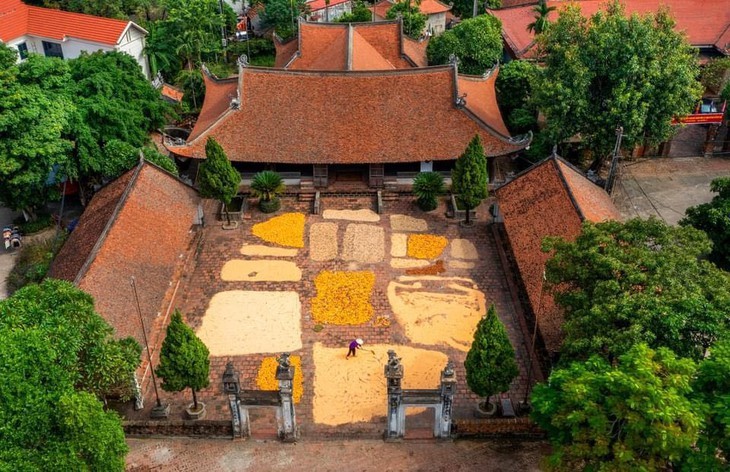 Schönheit des vietnamesischen Erbes der Fotografin Minh Hai - ảnh 6