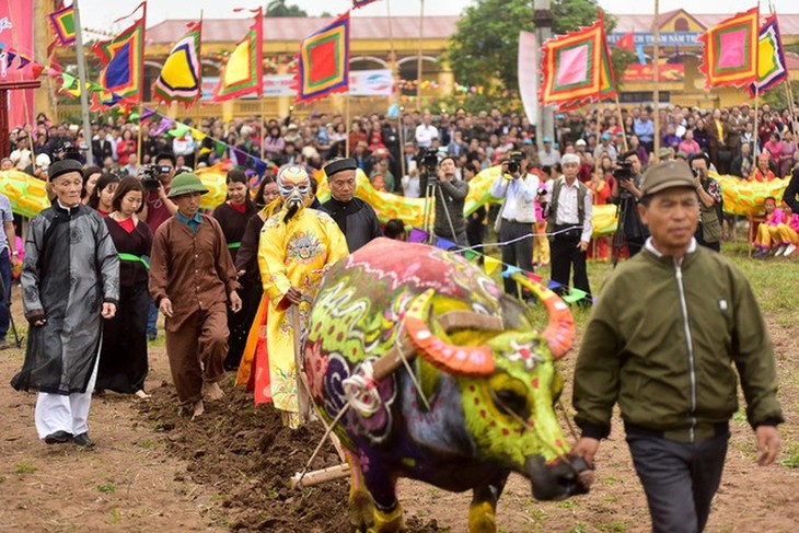 Festival des Reisanbaus 2022 wird verkürzt veranstaltet - ảnh 1