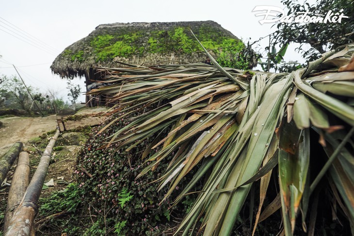 Schönheit von Xa Phin in Ha Giang - ảnh 10