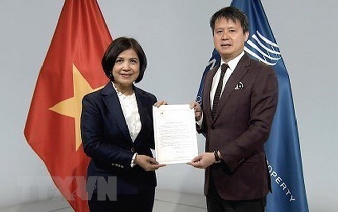 Vietnam nimmt an Konvention WIPO über Darbietungen und Aufnahme teil - ảnh 1