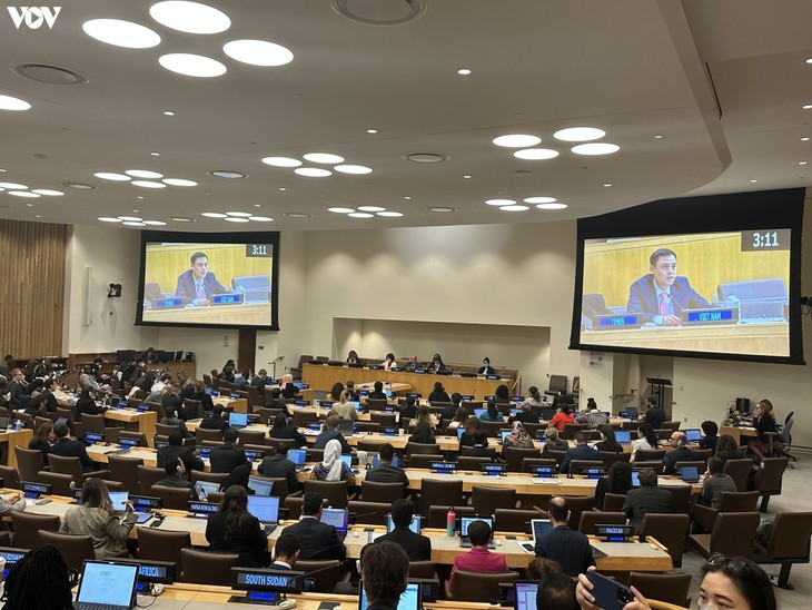 Vietnam spricht im Namen der ASEAN im UN-Ausschuss für soziale, humanitäre und kulturelle Angelegenheiten - ảnh 1