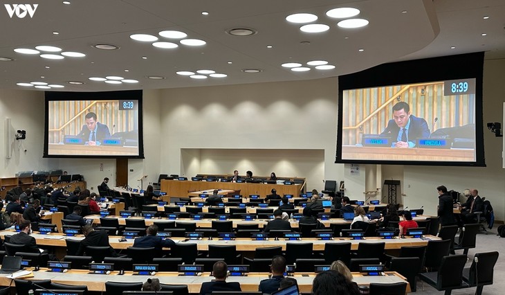Vietnam nimmt an Diskussion über UN-Friedensmission teil - ảnh 1