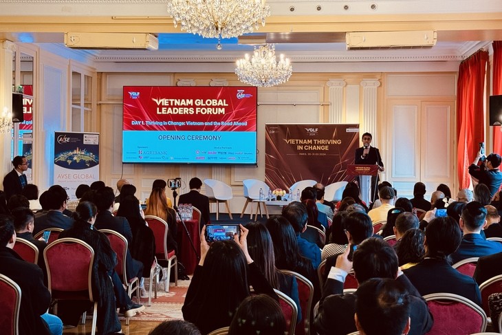 Mobilisierung der Ressourcen vietnamesischer Intellektuelle im Ausland für nachhaltige Entwicklung  - ảnh 1