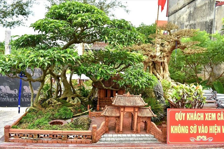 Ausstellung der Zierpflanzen und -tiere 2024 - ảnh 1