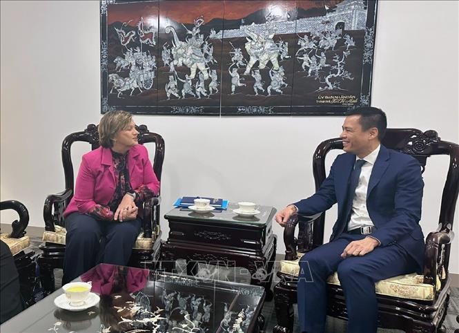 UNO will Fürsorge und Schutz der Kinder in Vietnam unterstützen - ảnh 1