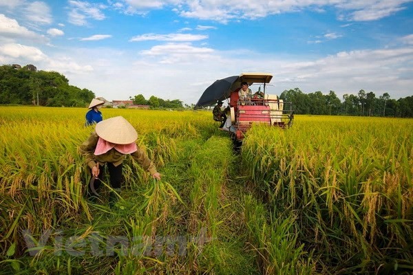 ປະກາດປື້ມ “ເສດຖະກິດຂຽວໃຫ້ແກ່ການພັດທະນາແບບຍືນຍົງໃນສະພາບການປ່ຽນແປງຂອງດິນຟ້າອາກາດ” - ảnh 1