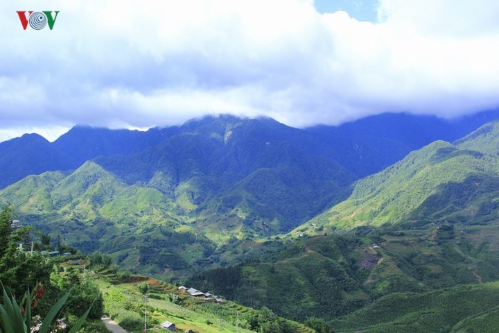 ຄັດສະເໜີບາງເນື້ອໃນຈົດໝາຍ ແລະ ຕອບບາງຄຳຖາມເຊິ່ງທ່ານຜູ້ຟັງໄດ້ຝາກມາລາຍການ - ảnh 1