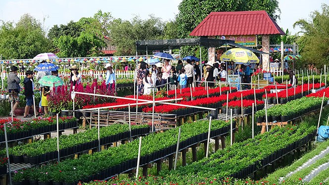 ບ້ານດອກໄມ້ ຊາແດ໊ກ, ແຂວງດົ່ງທາບ - ảnh 1