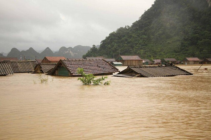 ຝົນຕົກ, ນ້ຳຖ້ວມໄດ້ກໍ່ຄວາມເສຍຫາຍຢ່າງໜັກໜ່ວງໃຫ້ແກ່ດ້ານຊີວິດອິນຊີຢູ່ເຂດພາກກາງ ແລະ ໄຕງວຽນ - ảnh 1