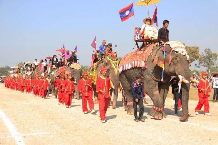 ງານບຸນຊ້າງ ໄຊຍະບູລີ ປີ 2021 ຈະຈັດຂຶ້ນດ້ວຍຂອບຂະໜາດນ້ອຍກວ່າ - ảnh 1