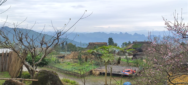 ຄວາມງາມຂອງບ້ານ ຊ່າຟີ່ນ ຢູ່ແຂວງ ຮ່າຢາງ - ảnh 3