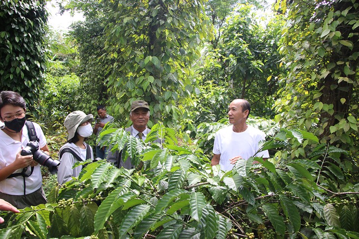 ຫຼັກຖານພິສູດຢ່າງຈະແຈ້ງກ່ຽວກັບຄວາມເສລີທາງດ້ານສາສະໜາຢູ່ ຫວຽດນາມ - ảnh 2