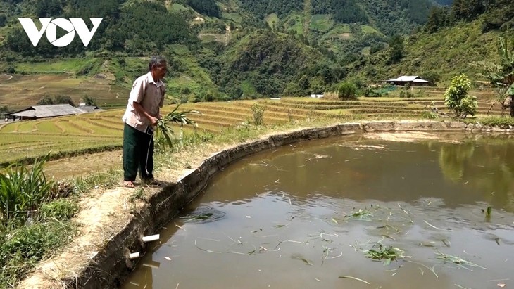 ບັນ​ດາ “​ປັດ​ໄຈ” ​ສ້າງ​ນ້ຳ​ໃຈ​ສາ​ມັກ​ຄີ​ຢູ່​ບ້ານ​ເຂດ​ພູ​ສູງ ອຽນ​ບາຍ - ảnh 1