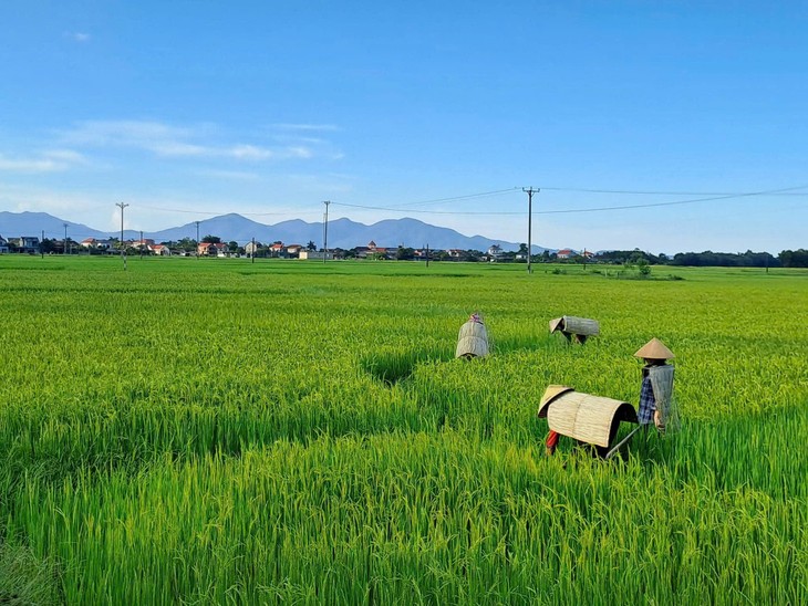 ຮັກ​ສາ​ຈຸດ​ພິ​ເສດ​ສະ​ເພາະ​ຂອງອາຊີບຫຍິບເສື້ອຄຸມທີ່ເຮັດດ້ວຍໃບໄມ້ - ảnh 1