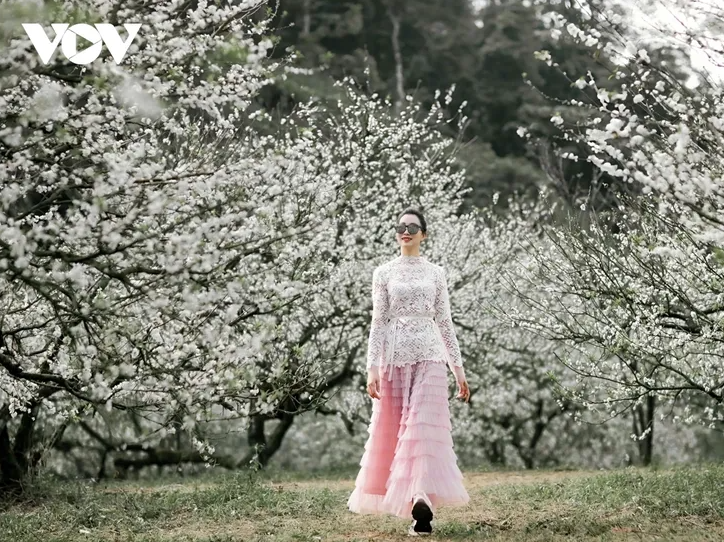 ສີສັນດອກໄມ້ເອີ້ນລະດູໜາວວຽນມາຢູ່ເຂດພູພຽງ ມົກເຈົາ - ảnh 2