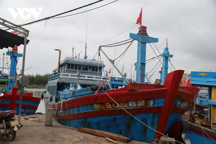 ​ບັນ​ຍາ​ກາດ​ທີ່​ຄຶກ​ຄື້ນ​ຂອງການ​ເດີນ​ທະ​ເລ​ຫາ​ປາ ​ຍາມ​ທ້າຍ​ປີ - ảnh 1