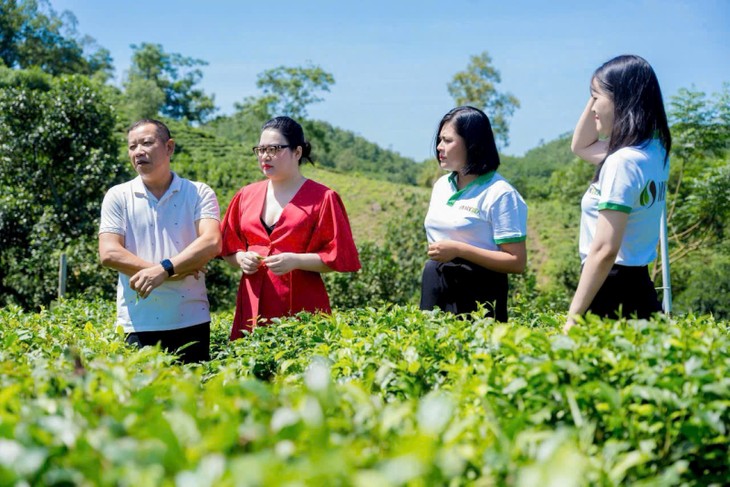 ນຳ​ເຕັກ​ໂນ​ໂລ​ຢີ​ດີ​ຈີ​ຕອນ​ເຂົ້າ​ໃນ​ການ​ປູກ​ຕົ້ນ​ຊາ - ảnh 1