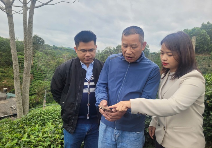 ນຳ​ເຕັກ​ໂນ​ໂລ​ຢີ​ດີ​ຈີ​ຕອນ​ເຂົ້າ​ໃນ​ການ​ປູກ​ຕົ້ນ​ຊາ - ảnh 2