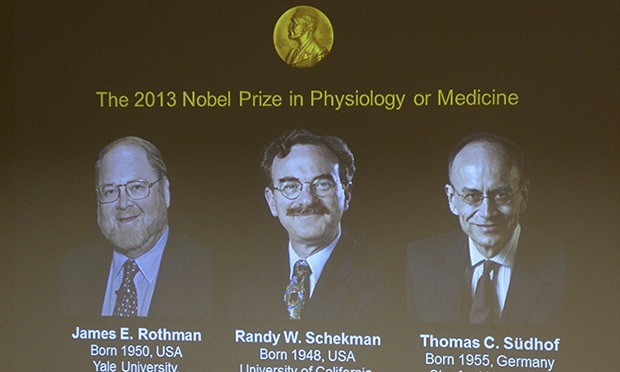 The 2013 Medicine/Physiology Nobel honors German and US scientists  - ảnh 1