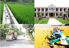 Vietnam’s new rural development targets for 2014  - ảnh 1