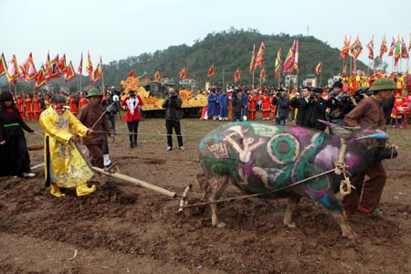 Fiesta Tich Dien estimula desarrollo agrícola - ảnh 1