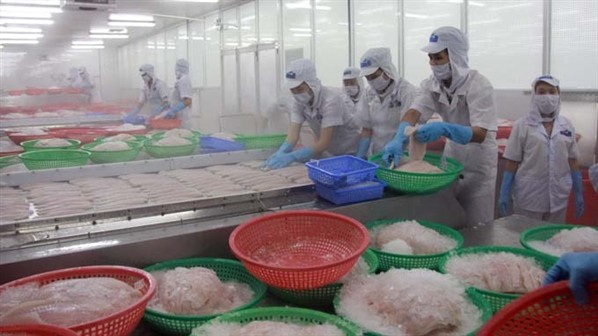 Vietnam protesta decisión estadounidense sobre pescado Tra - ảnh 1