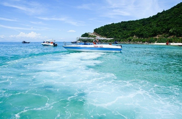 Descubren la cultura marítima en Quang Nam - ảnh 1