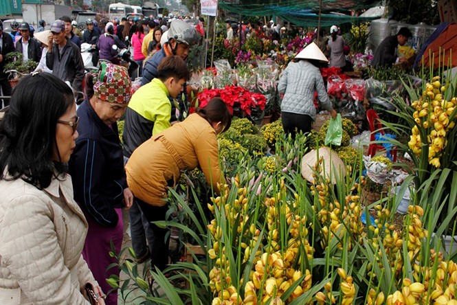 Mercado Hang de Hai Phong en los últimos días del año lunar - ảnh 2