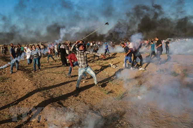 Un palestino muerto por los enfrentamientos en la frontera de Israel con Gaza - ảnh 1