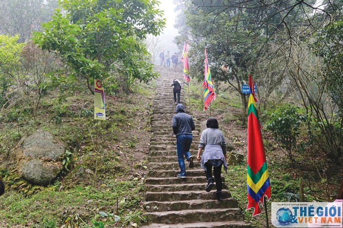 Pagoda de Ngoa Van, corazón de la secta budista de Truc Lam - ảnh 2