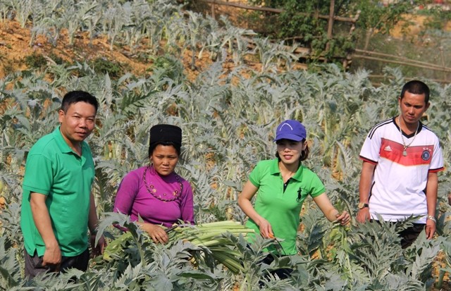 Do Tien Si “despierta” potencialidades de la medicina en Lao Cai - ảnh 1