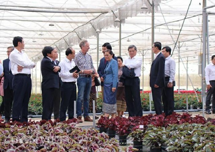 Presidenta parlamentaria de Laos conoce la producción agrícola de alta tecnología de Vietnam - ảnh 1