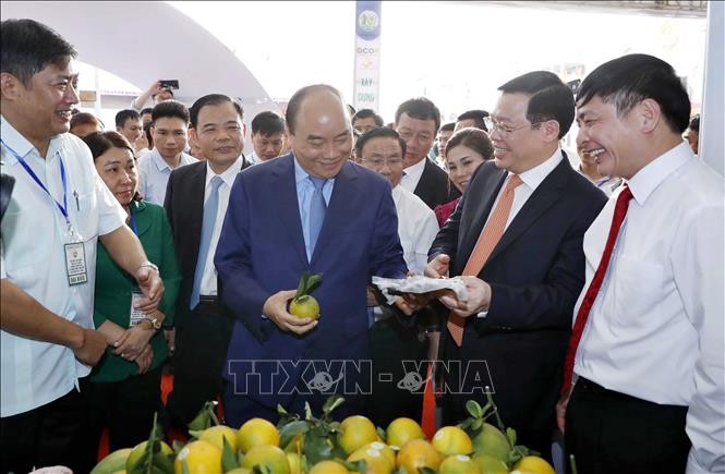 Celebran exposición sobre la construcción del nuevo campo en Vietnam - ảnh 1