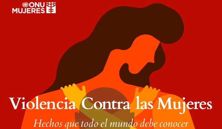 Arranca Día Internacional de la Eliminación de la Violencia contra la Mujer - ảnh 1